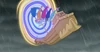 Branch Bum (365).png (3.16 MB)