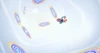 Wormhole (302).png (1.81 MB)