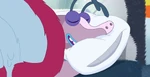 Glamping (287).png (1.91 MB)