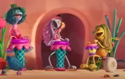 A trio of Vacaytioners