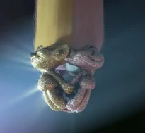 4 Glitter Trolls forming a disco ball