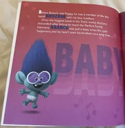 Bitty B brothers book.jpg (813 KB)