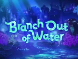 Branch Out of Water