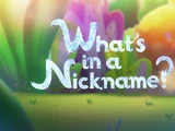 What's in a Nickname?