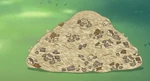 Glamping (83).png (3.77 MB)