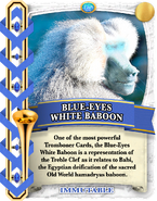 Blue-Eyes White Baboon