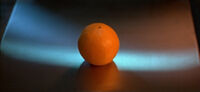 Oranges were the first organic objects to be digitized in early tests. What happened to them in the computer world is unknown.