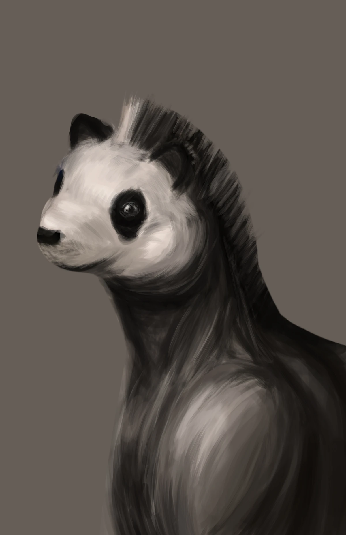 Zebrapanda | Trope Soup Wiki | Fandom