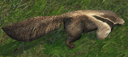 T3-Anteater.png