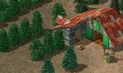 Corn Tropico 1.png