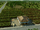 Plantation (Tropico 6)