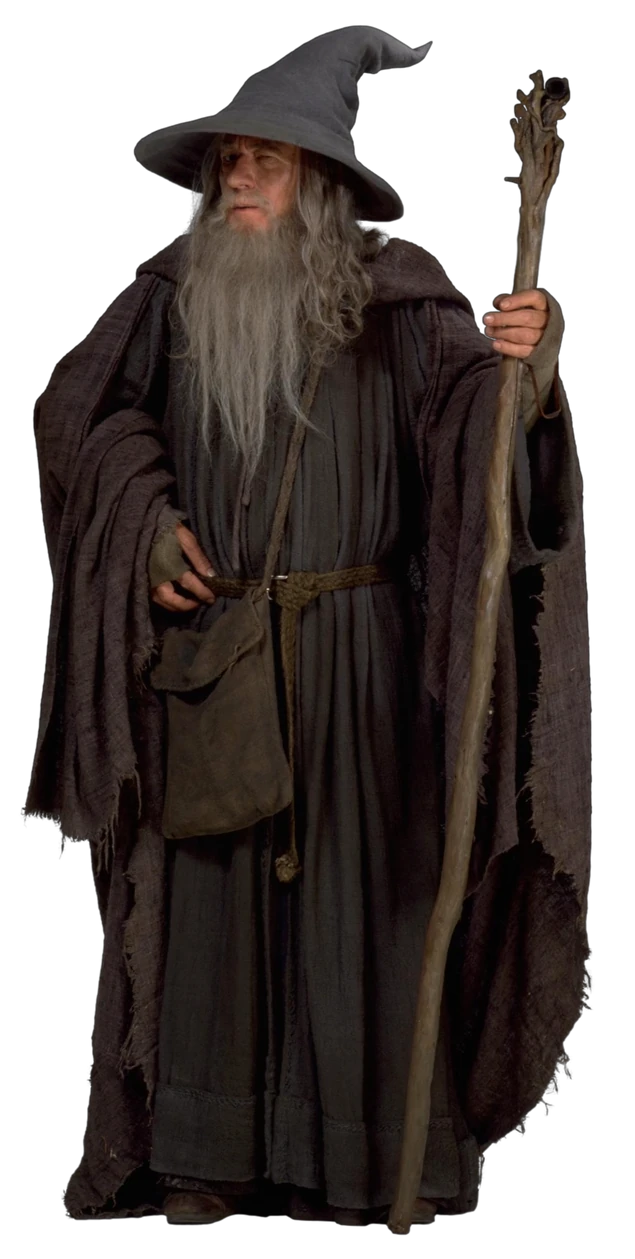 【親株】Dyckia 'Gandalf' Dyckia Gandalf Bromeliad Cultivar Register (14929) | Panus Japan