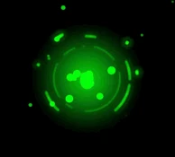 Uncommon Rarity.gif (3.46 MB) Uncommon