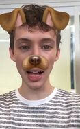 Puppytroye1