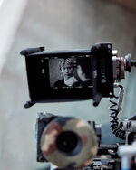 Filmography