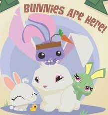 Rabbit | Troy's aj Wiki | Fandom