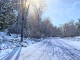 Frosty Winter