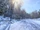 Frosty Winter