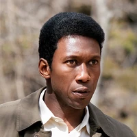 Wayne Hays (Mahershala Ali)