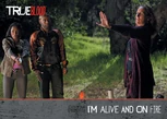 Card-S1-b80.jpg (28 KB) S2 - I'm Alive and on Fire