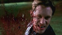 Save Yourself-002.jpg