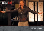 Card-S1-b94.jpg (25 KB) S2 - Soul of Fire