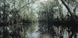 Gallery The Original Pilot Opening Credits Sequence True Blood Wiki Fandom