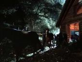 Sam, Luna, Emory and Suzanne shifting into horses.