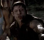 A faerie's true face