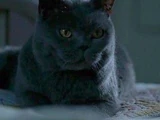 Tina