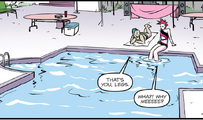 Pool area Issue #11