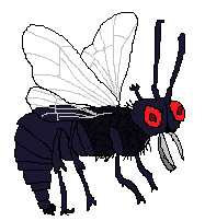 Belzebub mucha.png