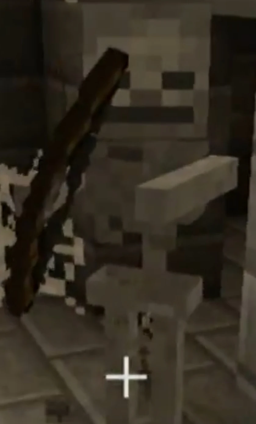 Skeleton - 67 | Tsmc-minecraft Wiki | Fandom