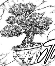Taroumatsu object form.png