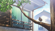 S2e04bird.png