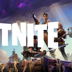 Fortnite outlet ds rom