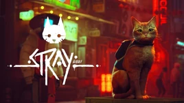 Self Destruct Sequence Initiated Stray Timmyturnersgranddad Wiki