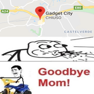 Goodbye mom