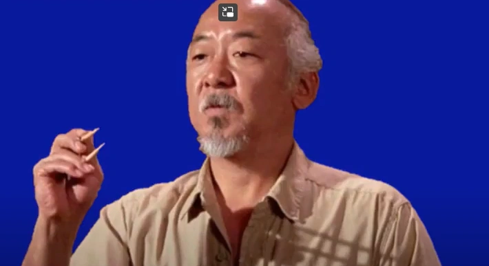 Mr. Miyagi | The TTS Wiki | Fandom
