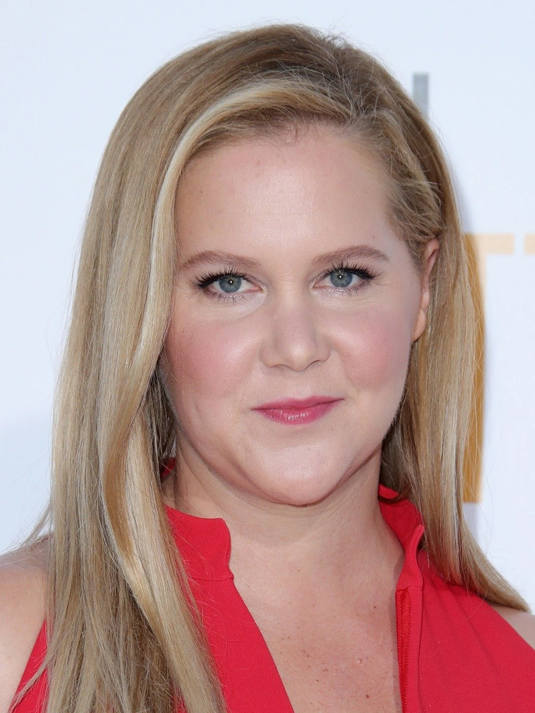 Amy Schumer | The TTS Wiki | Fandom