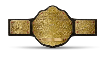 World Heavyweight Championship (WWE, 20022013) The TTS Wiki Fandom