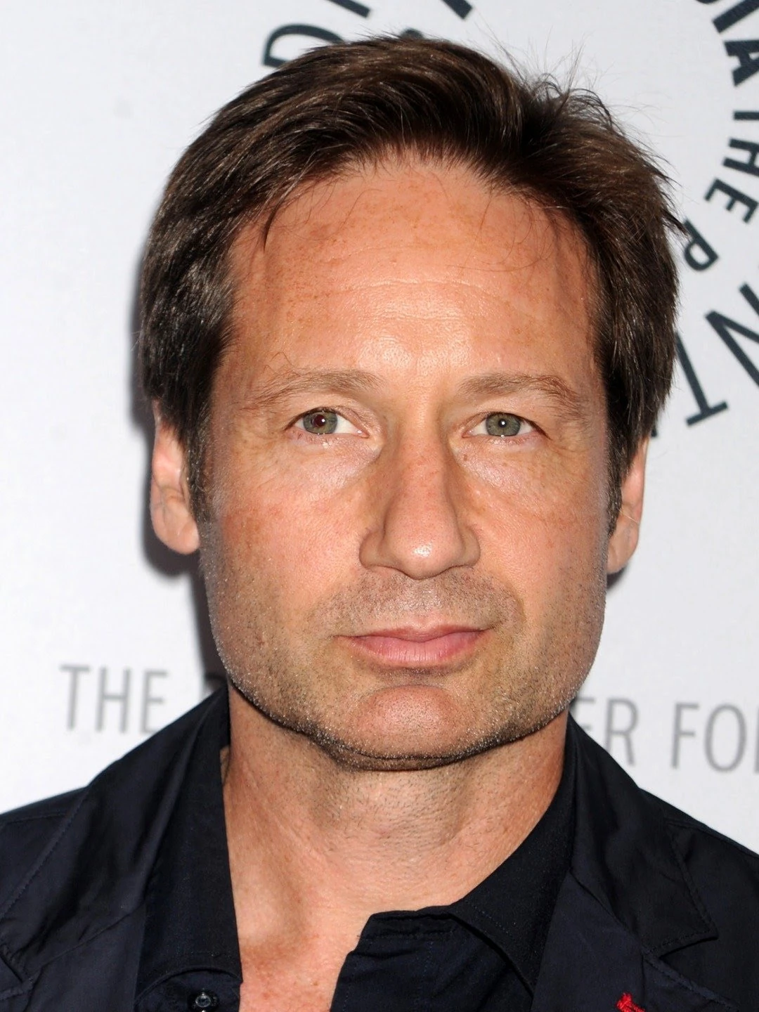 David Duchovny | The TTS Wiki | Fandom