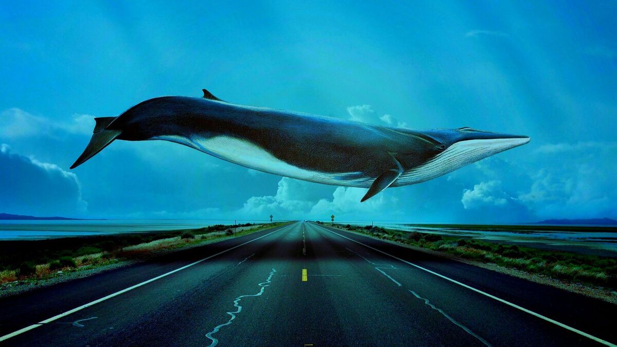青いクジラ 1200?cb=20220811103111&path-