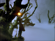 A headlamp hanging in a tree