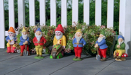 The gnomes as part of the decorations