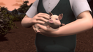 Thomas the Piglet - a piglet named after the Tank Engine.