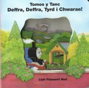 Welsh Cover