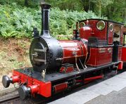 Smudger's basis, Dolgoch