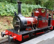 Dolgoch - built in 1866