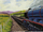 Cows!RS4.PNG